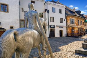 Apartment Široká 52