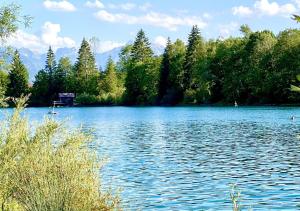 Ferienwohnung Pusteblume