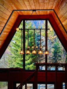 Twin Cabins Azuga