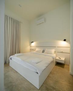 Aster Villa Palase