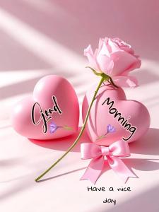 4 Seasons Suites Paradise Near Airport And Beach 2