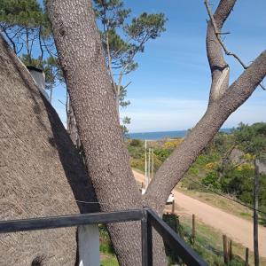 Antiyova