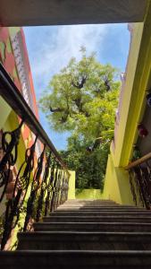 Hotel Paramount Palace