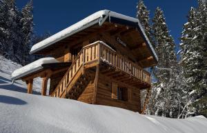 Le Squirrel - Cabin overlooking Mont Blanc