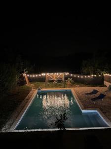 The house among the vineyards