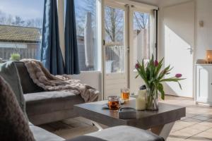 6-persoons huis met omheinde tuin vlakbij strand, hond welkom