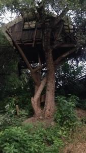 Disfruta de la ciudad y naturaleza en una misma experiencia!