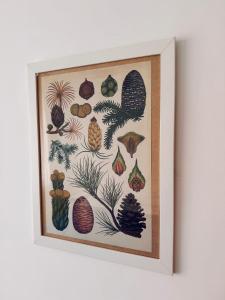 Casa Cocò - Appartamento al mare