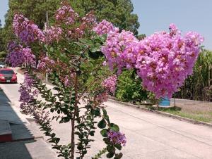Cozy Family Apartment