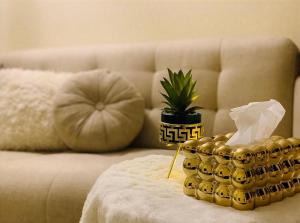 Royal Apartment in Zamalek