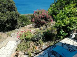Logement Marion 2 à 4 pers terrasse vue mer 180 plage de sable 300 M - TARCO