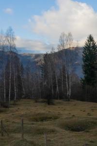 Acasa Straja - Green Cottage