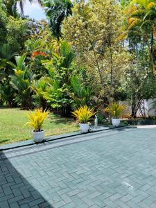 New Villa Senor Beruwala