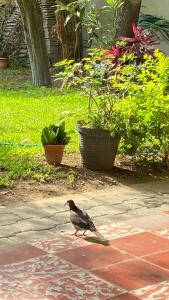 Algo Más Apartamentos