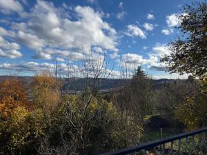 Les Crins Du Bonheur