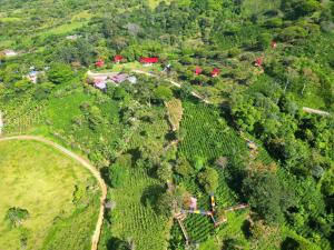 Finca Agroturística La María