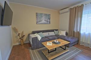 Luxury Apartment Ana