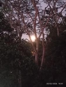 Jungle Paradise Hostel