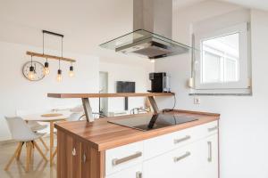 10 Guests Apartment near Mercedes Plant & Train