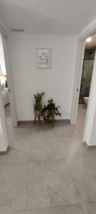 Cuype House Sevilla - A