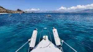 One Day Trip by Speadboat to National Komodo Park