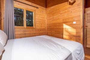 Chalets & SPA à leau thermale