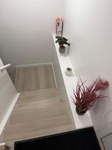 Granite Grove Suite