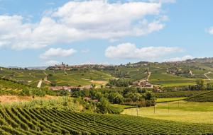 Cozy Apartment In Monforte Dalba With Wifi