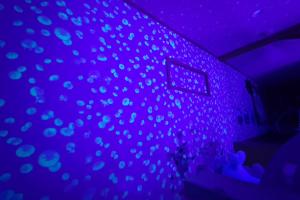 Skytree 12pax Family-Friendly with Indoor Playground