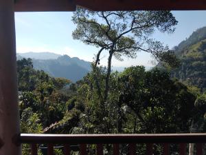 Ella Blissfull Homestay