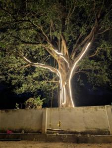 Tharissu potta farm stay