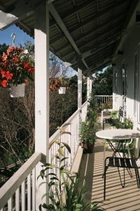 Vườn Nắng Ấm Của Tía