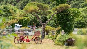 Chaesonghwa Glamping in Yeongcheon