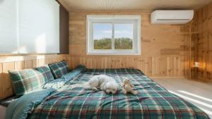 Chaesonghwa Glamping in Yeongcheon