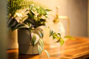 Sapporo - Apartment - Vacation STAY 43042v