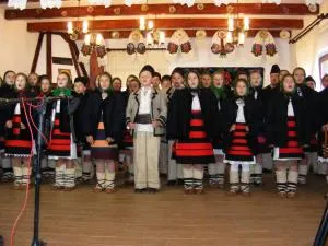 Pensiunea Sanziene - 波耶尼莱伊泽