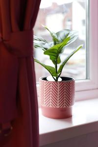 Cozy Private Room with Fast WiFi Full Kitchen Garden