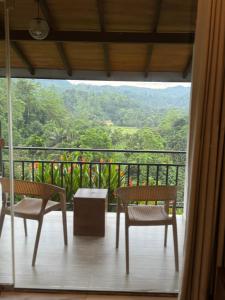 Rainforest mountain resort