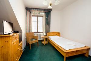 Classic Single Room with Shower room in Hotel Zlaty Andel