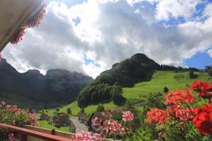 Hotel Alpenblick