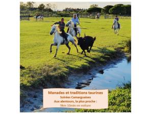 Le Nid Ensoleillé avec Parking privé Clim Wifi - ROSSIconciergerie - Linge inclus