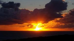 Appartamento del Cardellini img29