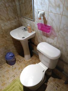 Departamentito Austral