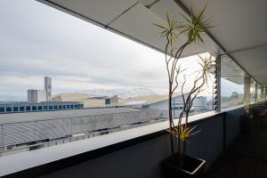 GuestReady - Lovely place with Dragon Stadium view
