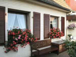 Haus-Ilse-Marie-Wohnung-Backbord