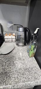 Ocean Vibes in Venice