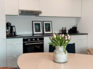 Comfort Apartment Midami