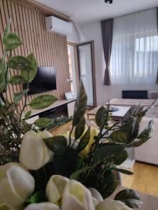 Apartman NIT Zlatibor