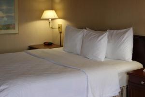 King Room - Non-Smoking room in Days Inn & Suites by Wyndham Sunnyvale