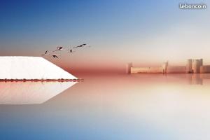 Aigues-Mortes en Camargue